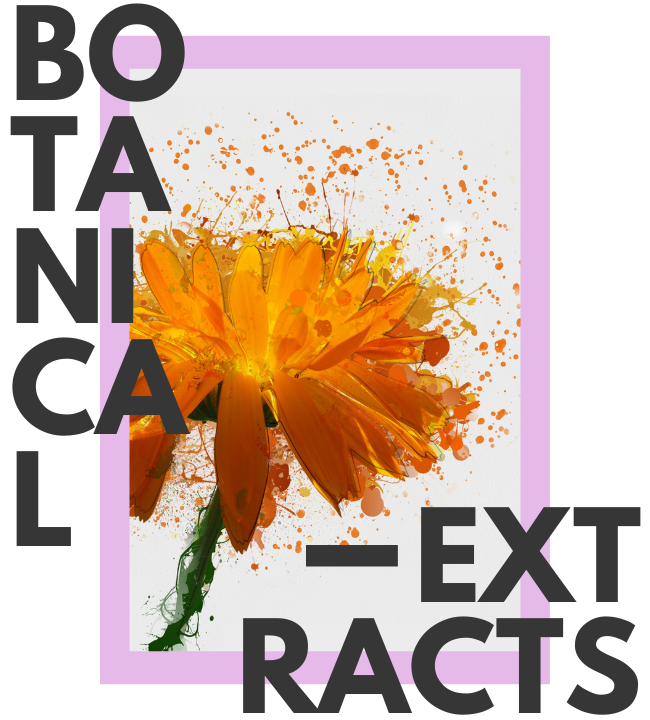 Expert Botanical Extracts Manufacturer | Expert Herbal Extracts Manufacturer